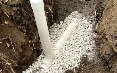 Dealing With Invasive Roots in Your Plumbing System