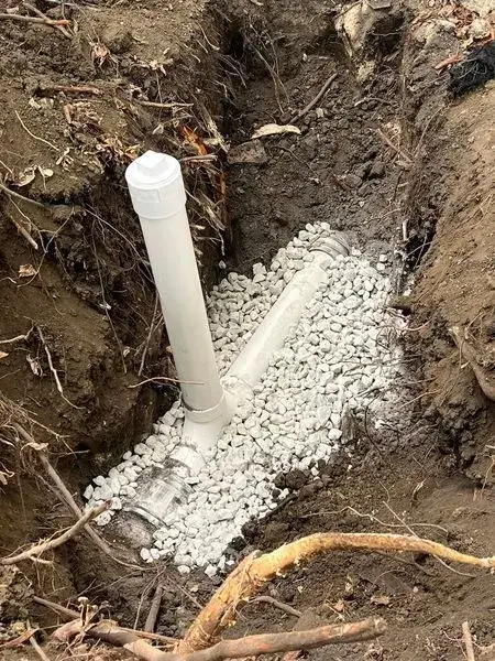 Dealing With Invasive Roots in Your Plumbing System