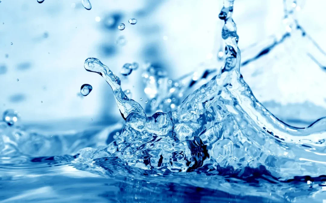 Water Softeners for Homeowners: What To Know